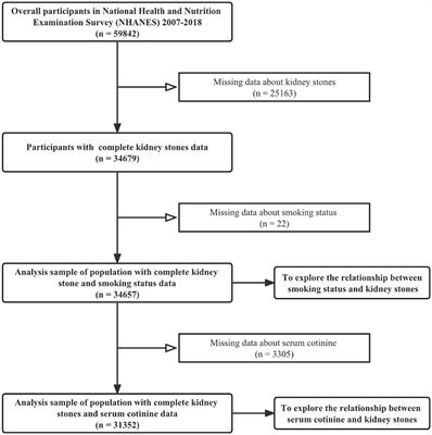 Associations between smoke exposure and kidney stones: results from the NHANES (2007–2018) and Mendelian randomization analysis